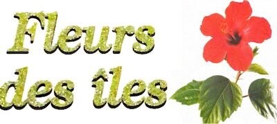 Compositions florales près d'Évry | FLEURS DES ÎLES