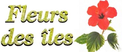 Compositions florales près d'Évry | FLEURS DES ÎLES